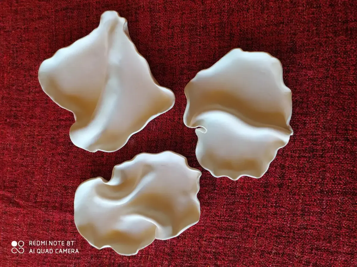 IMG-8bc62888236116d6ca77c58e02a07a84-V